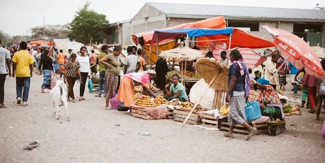 Household Income Generation Activities and Sources Dataset on Opendatabay data marketplace