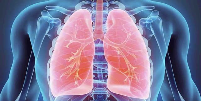 Youth Lung Capacity and Smoking Habits Dataset on Opendatabay data marketplace