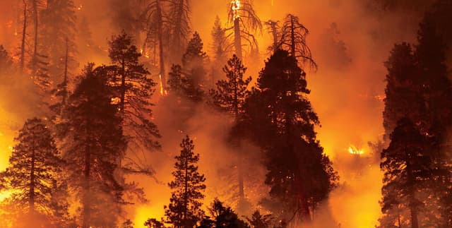 Forest Fire Weather Prediction Dataset Dataset on Opendatabay data marketplace