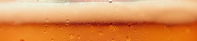 Beer Efficiency and Nutritional Metrics Dataset on Opendatabay data marketplace