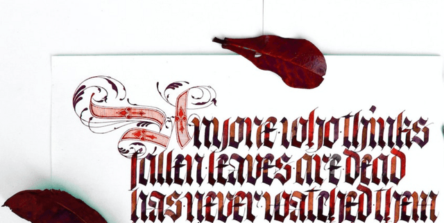 English-to-Korean DeepL Model Training Dataset Dataset on Opendatabay data marketplace