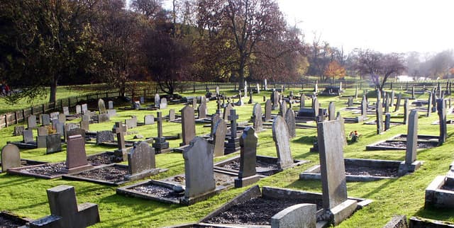 International Mortality Patterns Dataset Dataset on Opendatabay data marketplace