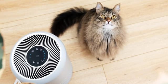 Air Filtration System Efficiency Logs Dataset on Opendatabay data marketplace