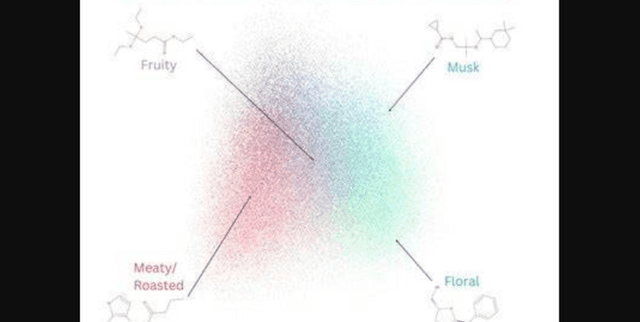 GoodScents and Leffingwell Molecular Odours Dataset on Opendatabay data marketplace
